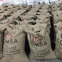 Honduras COMSA Marcala SHG Fair Trade USA, 1 lb (16 oz)