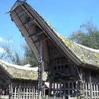 Sulawesi Toraja “Sapan Minanga”, 1 lb (16 oz)