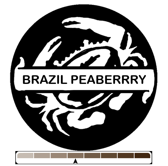 Brazil Fazenda Cachoeira da Grama Peaberry, 1 lb (16 oz)