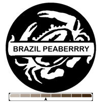 Brazil Fazenda Cachoeira da Grama Peaberry, 1 lb (16 oz)