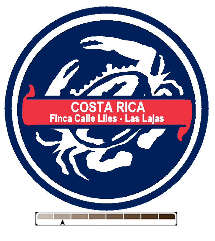 Costa Rica Finca Calle Liles - Las Lajas, 1 lb (16 oz)