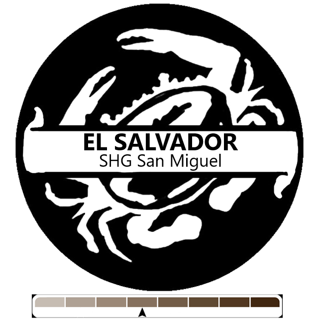 El Salvador SHG San Miguel, 1 lb (16 oz)