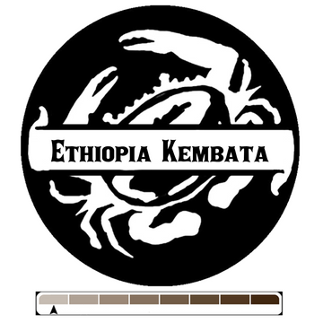 Ethiopia Kembata, 1 lb (16 oz)