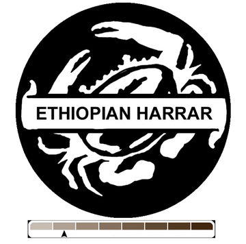 Ethiopia Harrar, 1 lb (16 oz)