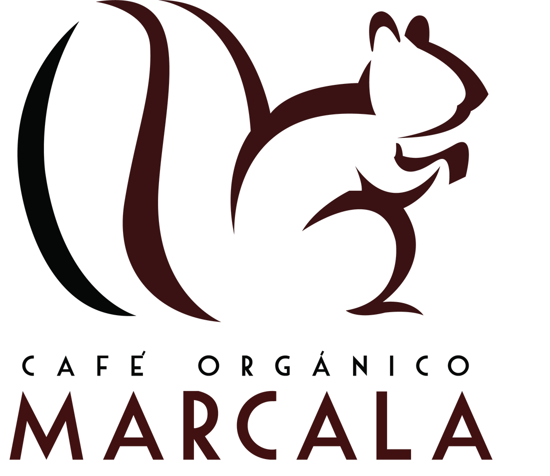 Honduras COMSA Marcala SHG Fair Trade USA, 1 lb (16 oz)