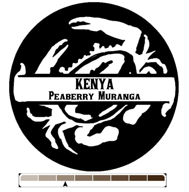 Kenya Peaberry Muranga, 1 lb (16 oz)