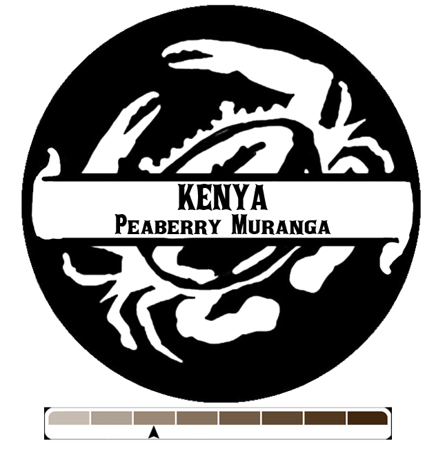 Kenya Peaberry Muranga, 1 lb (16 oz)