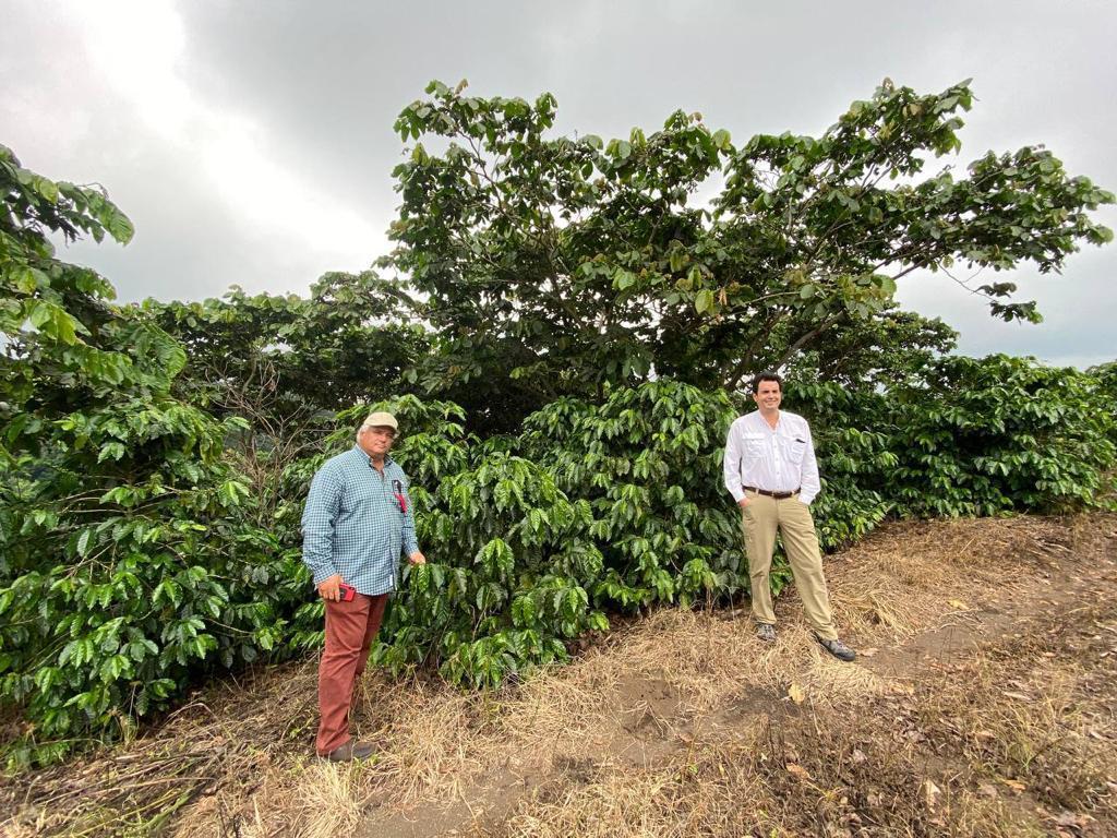 El Salvador SHG San Miguel, 1 lb (16 oz)