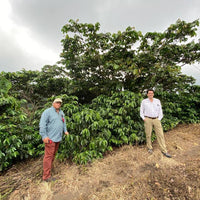 El Salvador SHG San Miguel, 1 lb (16 oz)