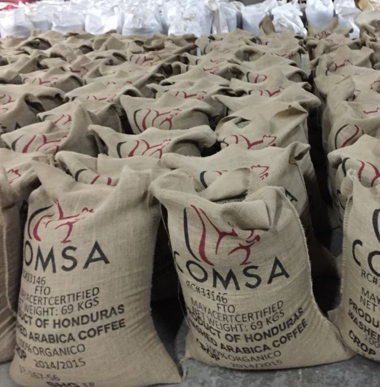 Honduras COMSA Marcala SHG Fair Trade USA, 1 lb (16 oz)