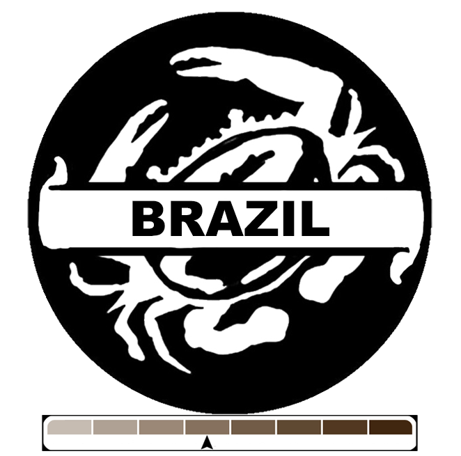 Brazil Cerrado, 1 lb (16 oz)