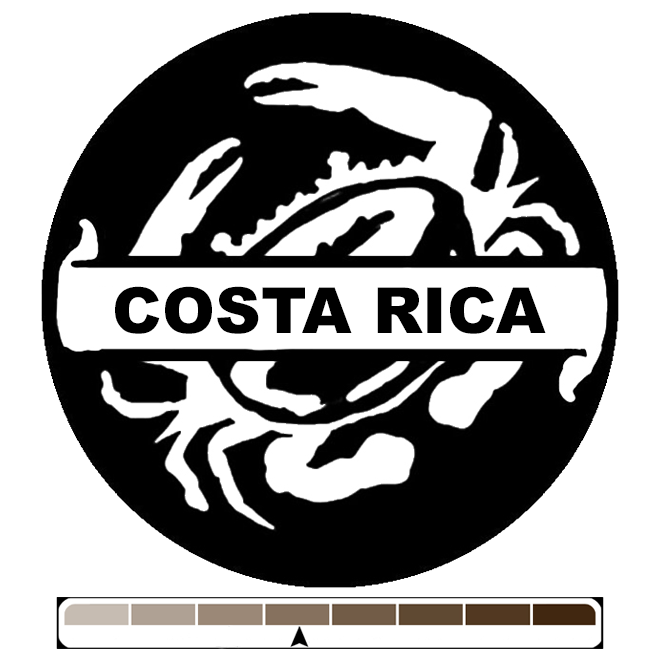 Costa Rica Tarrazu, 1 lb (16 oz)