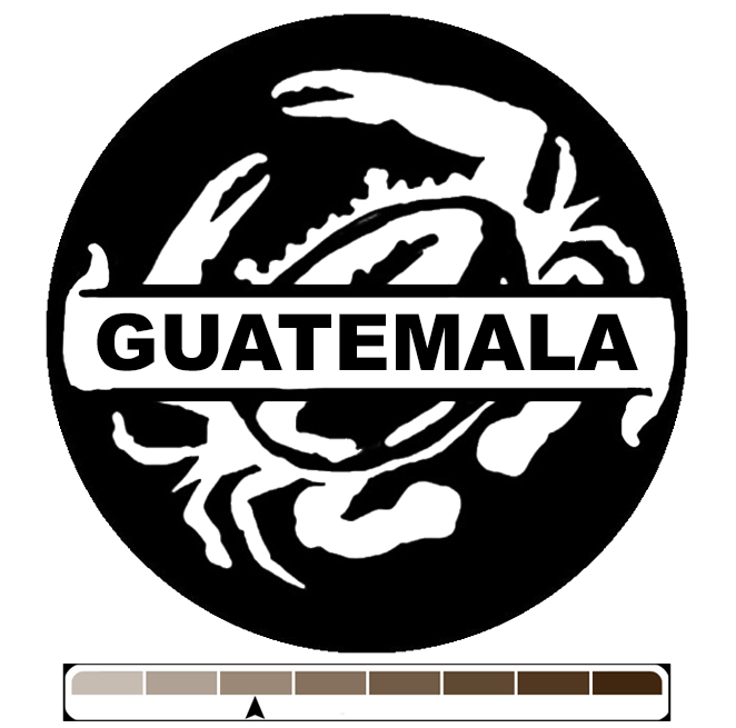 Guatemala Huehuetenango, 1 lb (16 oz)