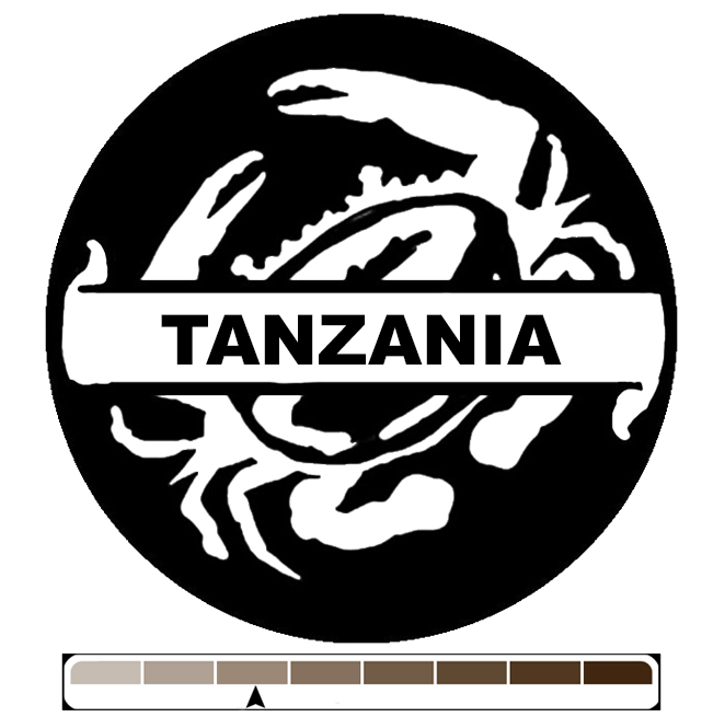Tanzania Peaberry, 1 lb (16 oz)